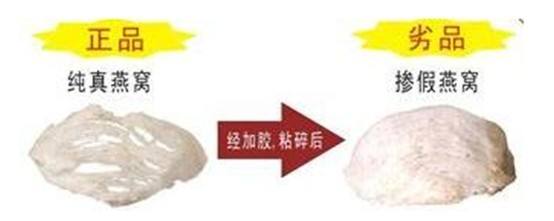 怎么判定鉴定燕窝真假