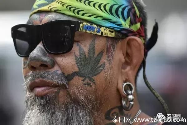 震惊!泰国大麻合法化!就从这个月开始 震惊!泰国大麻合法化!就从这个月开始