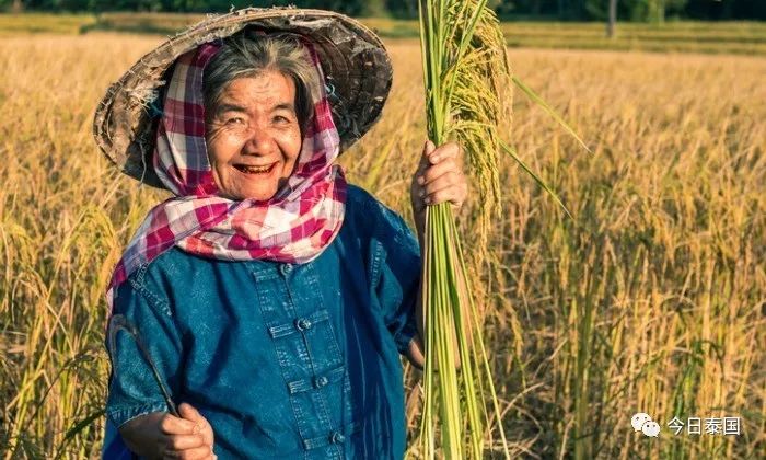 如今是留在泰国,仍是脱离泰国,这个问题很难答复 如今是留在泰国,仍是脱离泰国,这个问题很难答复
