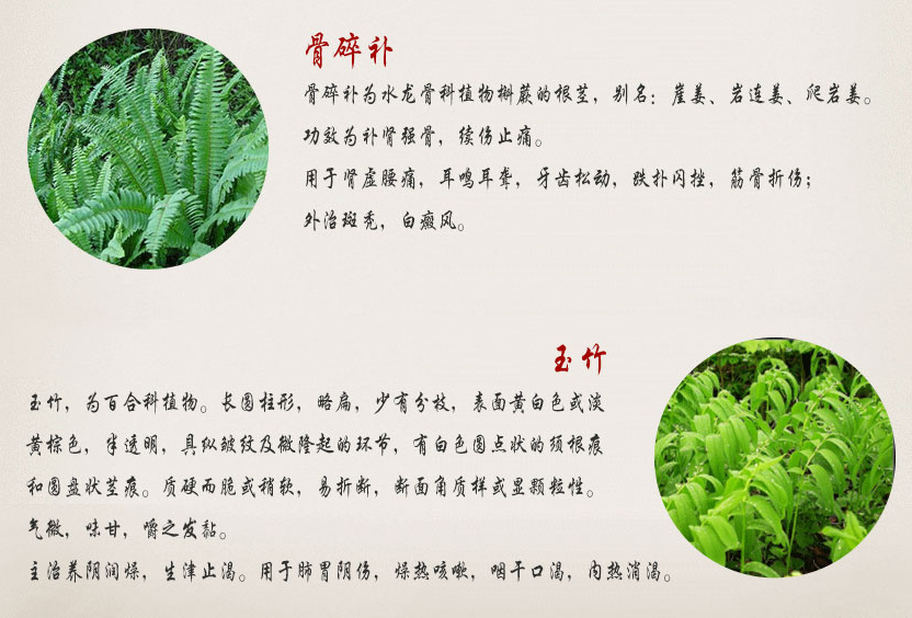 泰国五蜈蚣标止咳丸大卖场
