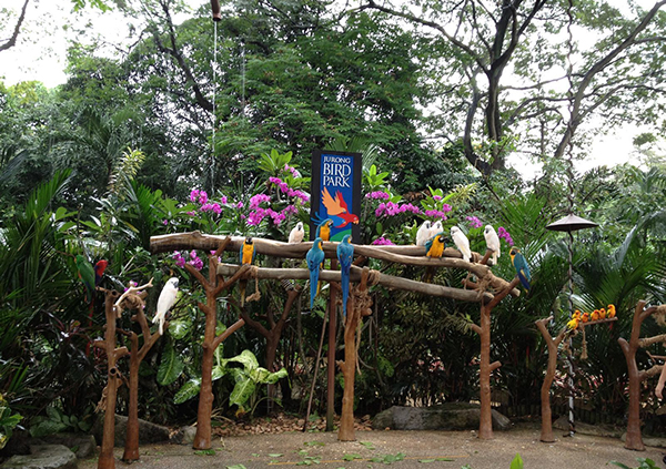 新加坡景点：新加坡植物园