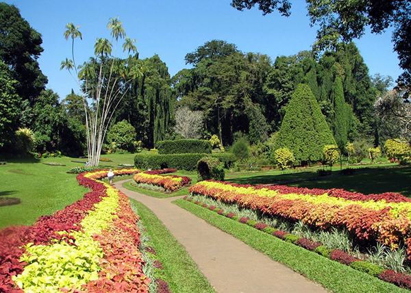 新加坡景点：新加坡植物园