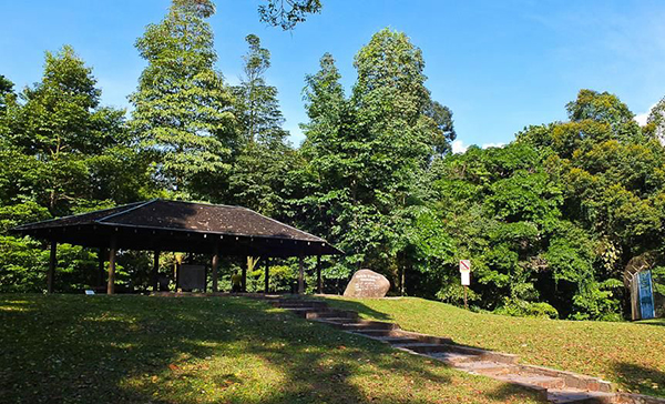 新加坡旅游：武吉知马自然保护区