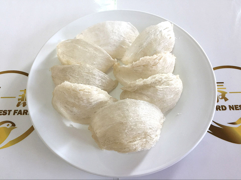 泰国金丝燕窝品质极佳的好燕窝