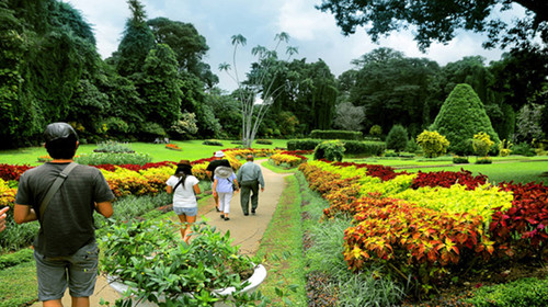 缅甸皇家植物园原名国家植物园