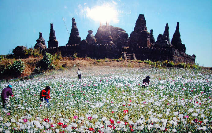 金三角旅游推荐泰国缅甸越南